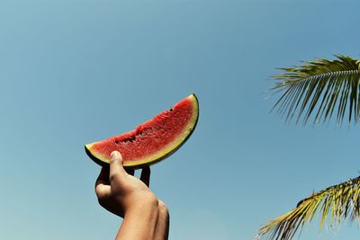 Hand holding fruit against clear sky