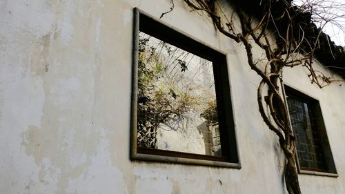 House with trees in background