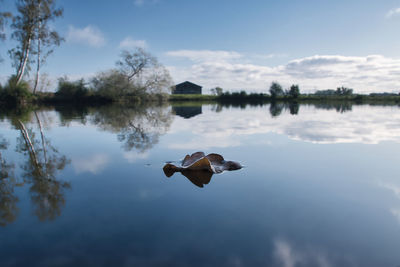 Reflection of clouds in lake