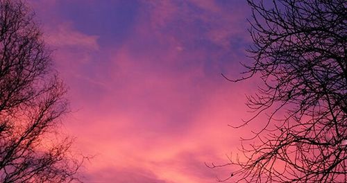 Low angle view of bare tree against cloudy sky