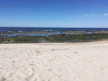 Scenic view of beach against blue sky