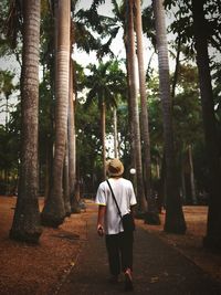 Rear view of man walking amidst trees