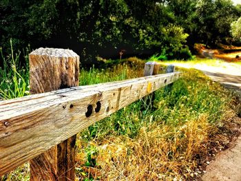 Wooden fence on field by trees in forest