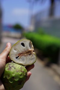 Close-up of hand holding fruit
