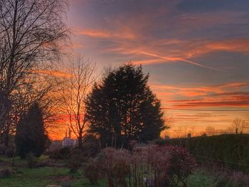 Trees on field against romantic sky at sunset