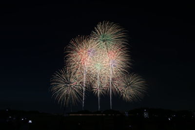 Low angle view of firework display at night