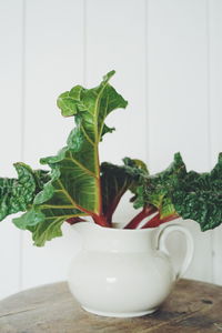Close-up of rhubarb in mug on wooden table