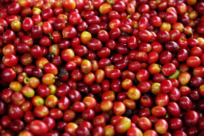 Full frame shot of raw coffee beans