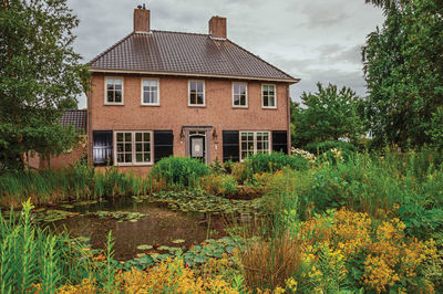 House by trees and plants against sky