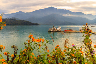 Scenic view of lake