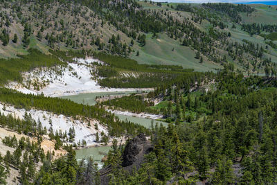 High angle view of trees on landscape