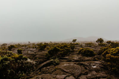 Scenic view of landscape during foggy weather