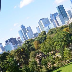 Trees in city against sky