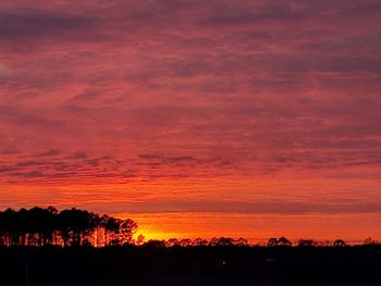 Silhouette trees against dramatic sky during sunset