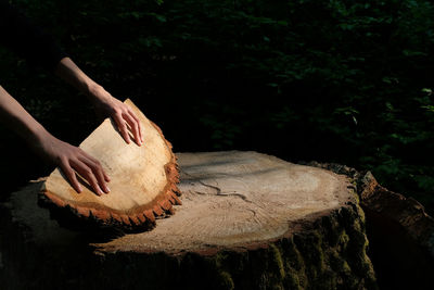 Midsection of person by tree in forest