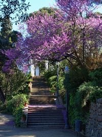 View of staircase