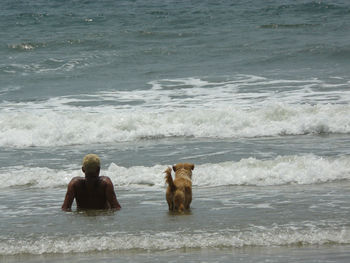 Dog lying on beach