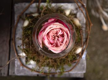 Close-up of pink rose in jar