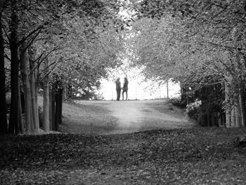 People walking on footpath in forest