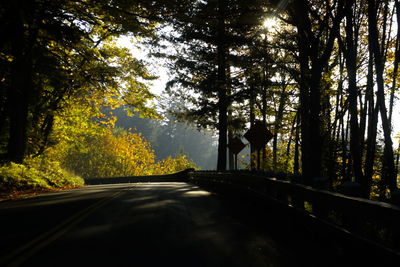 Silhouette trees by road in forest