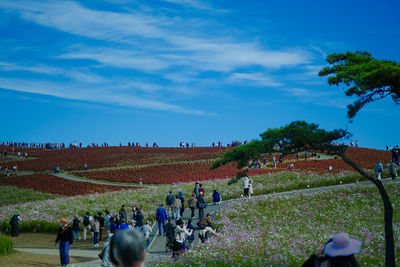 People on field against sky