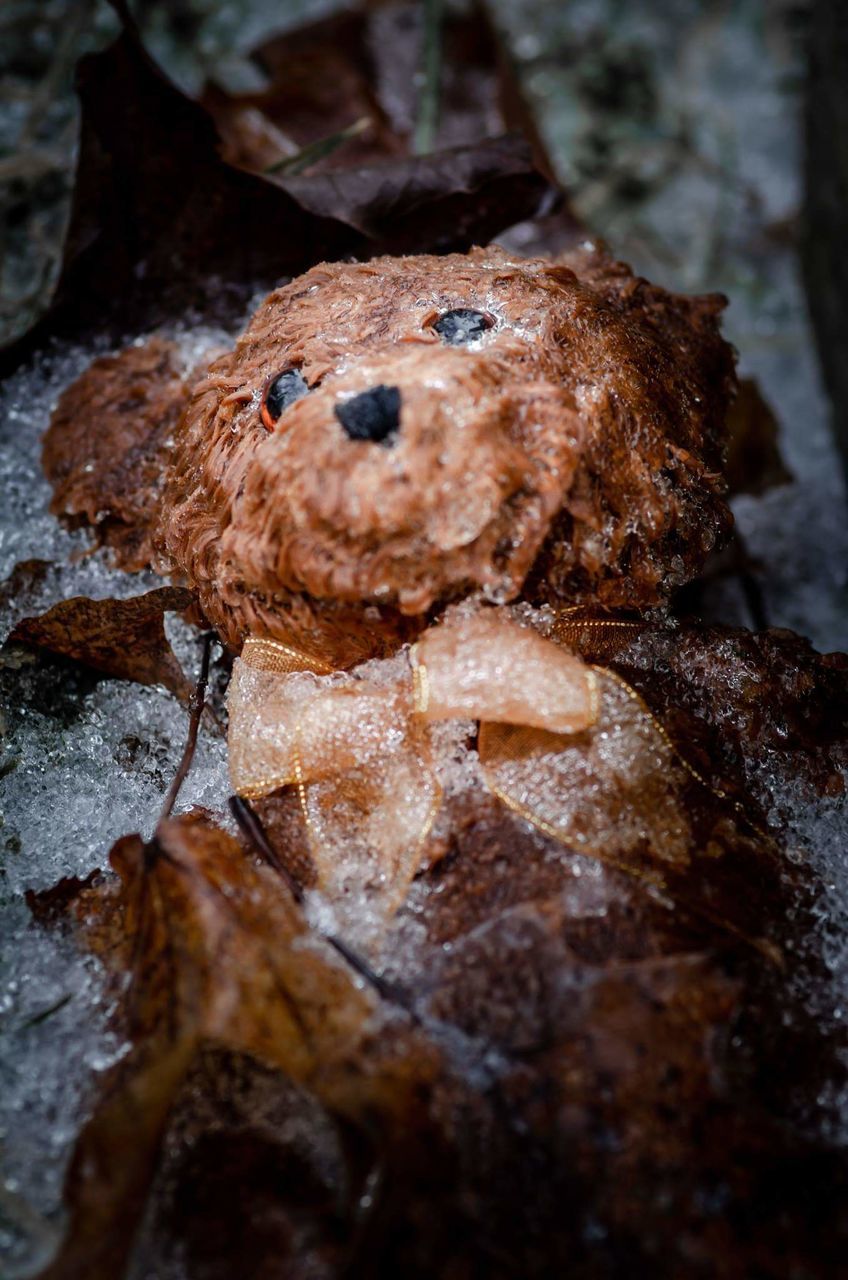 food, close-up, food and drink, no people, baked, selective focus, sweet food, brown, indoors, representation, indulgence, fruit, emotion, dried fruit, focus on foreground, freshness, temptation, raisin, day