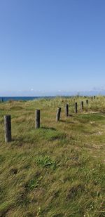 Scenic view of field against clear sky