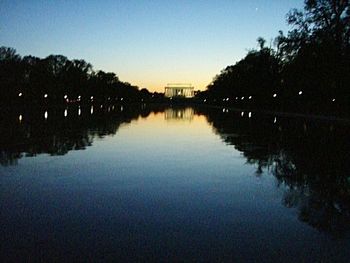 Reflection of trees in calm lake