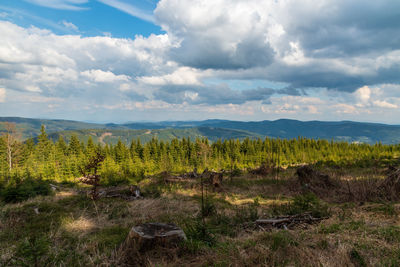 Scenic view of field against sky