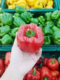 A hand is holding red bell pepper