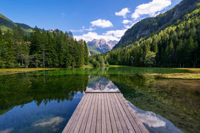 Scenic view of lake by trees against sky