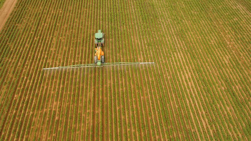 High angle view of working on field