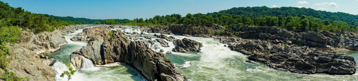 Panoramic shot of rocks in forest against sky