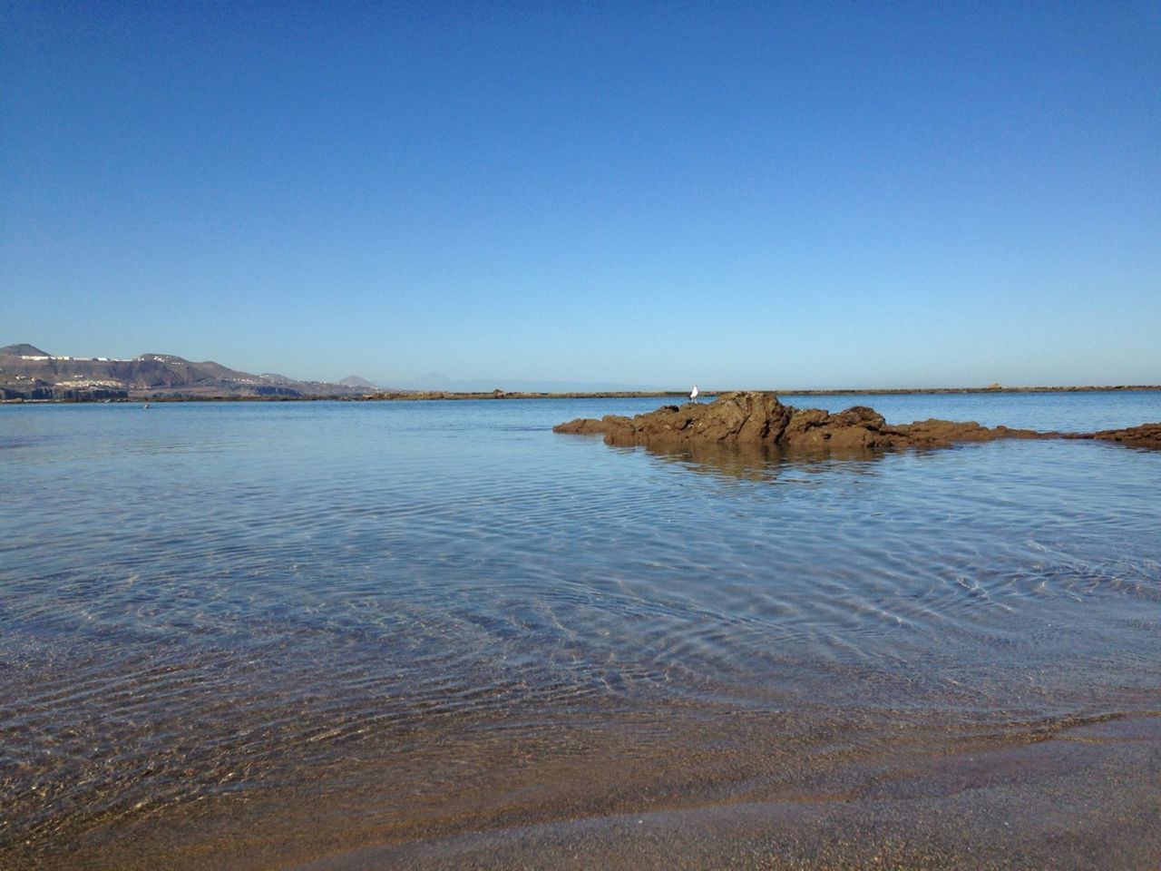 water, sea, clear sky, beach, copy space, scenics, tranquil scene, tranquility, beauty in nature, shore, blue, horizon over water, sand, nature, idyllic, wave, coastline, day, outdoors, calm