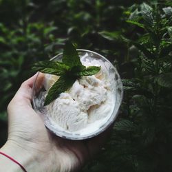 Close-up of hand holding ice cream