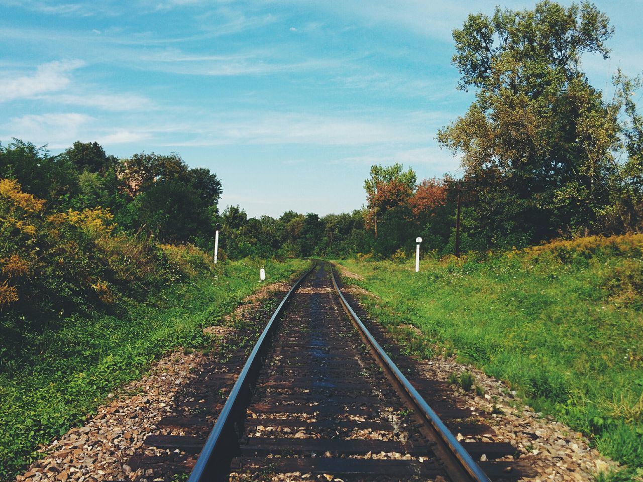 railroad track, tree, rail transportation, transportation, the way forward, sky, diminishing perspective, vanishing point, growth, public transportation, tranquility, nature, cloud - sky, green color, railway track, day, landscape, field, tranquil scene, grass