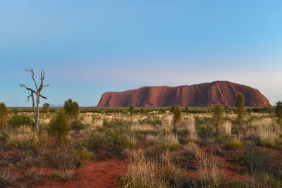 Scenic view of land against clear blue sky