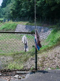 Rear view of people walking on field