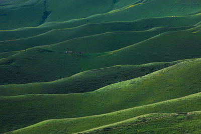 Full frame shot of landscape