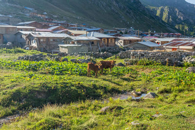 Scenic view of landscape and houses by mountain