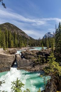 Scenic view of river against sky