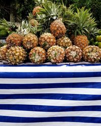 Close-up of fruits on plant horizontal lines pineapple