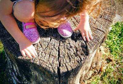 High angle view of girl crouching on tree stump