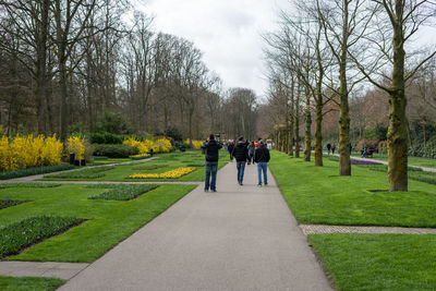 Rear view of people walking on footpath in park