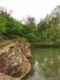 Scenic view of river in forest against sky