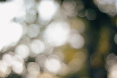 Close-up of defocused lights