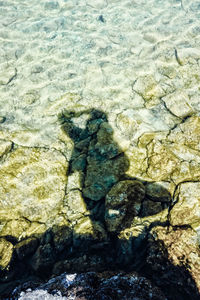 High angle view of shadow of man on rock