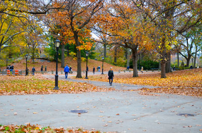 People walking in park during autumn