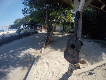 Horse on beach by palm trees against sky