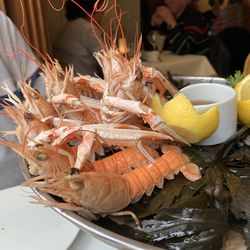 Close-up of fish on table